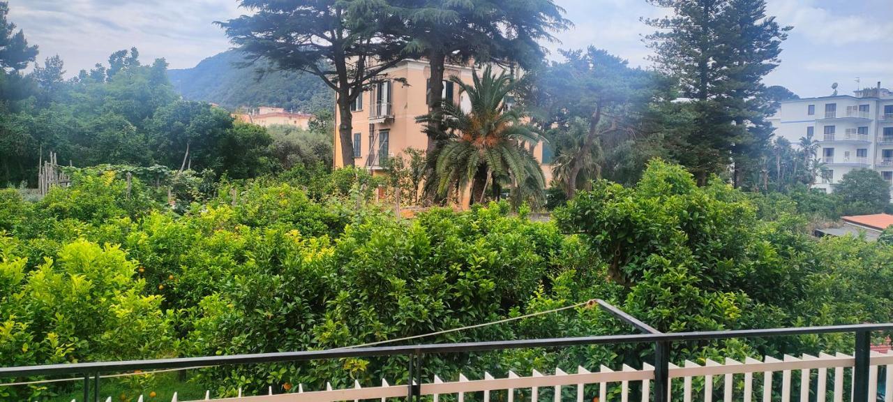 Guest House Rione Cappuccini Sant'Agnello Dış mekan fotoğraf